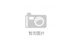 德国不莱梅国际房车展览会冰球突破游戏20